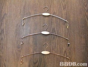 森美模特兒衣架公司 專(zhuān)業(yè)衣架與寵物衣架解決方案