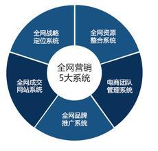 網(wǎng)絡營銷特性、營銷型網(wǎng)站與電子商務平臺開發(fā)運營的對比分析