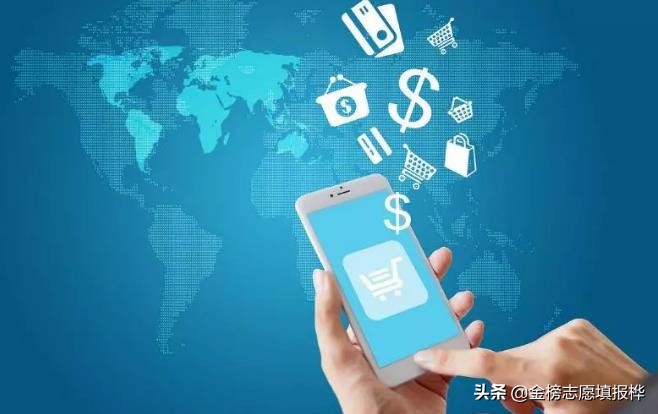 電子商務(wù) 平臺(tái)開發(fā)與運(yùn)營(yíng)的核心解析